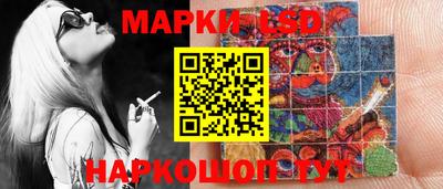 мдпв Кимры