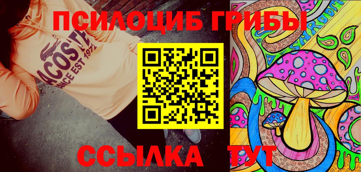 Псилоцибиновые грибы GOLDEN TEACHER Ступино