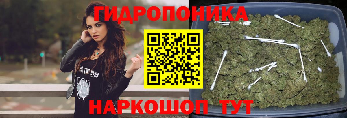 Бошки Шишки MAZAR Ступино